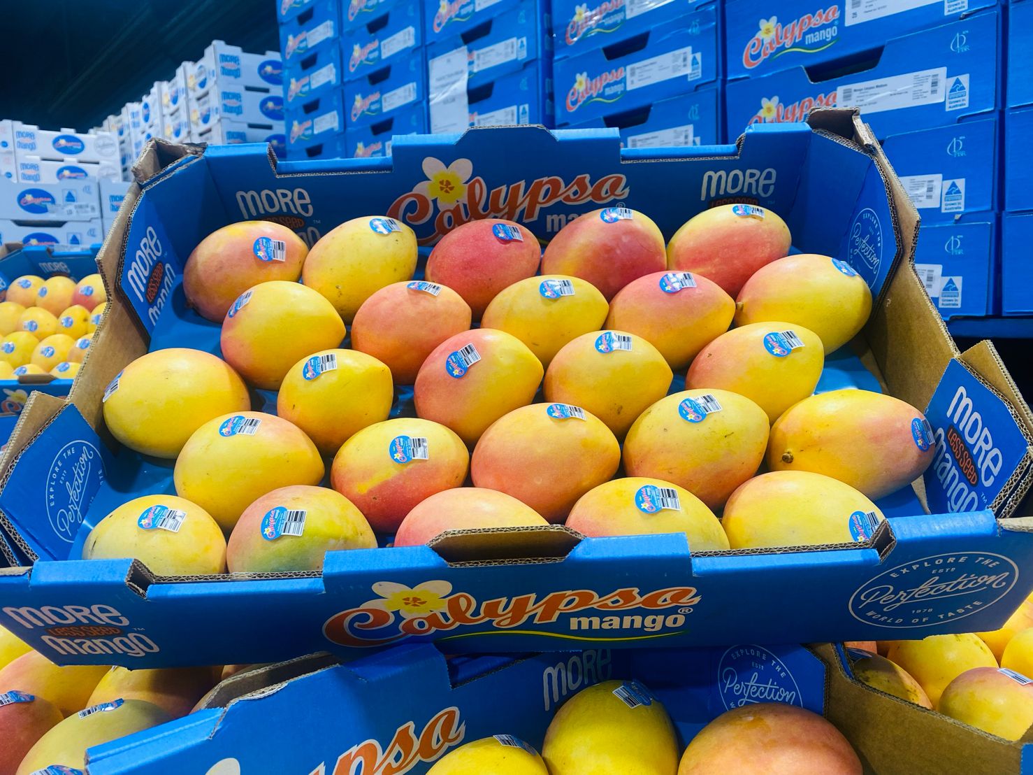 Calypso Mangoes - Label Press (QLD)